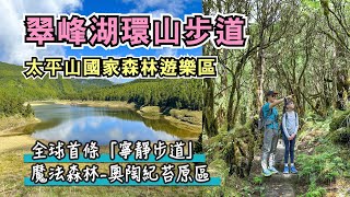 太平山翠峰湖環山步道⛰️ 好走嗎？路線推薦！全球首條寧靜步道+魔法森林奧陶紀苔原區+全台最大高山湖泊，交通/門票/停車介紹｜太平山國家森林遊樂區｜宜蘭大同景點｜親子旅遊