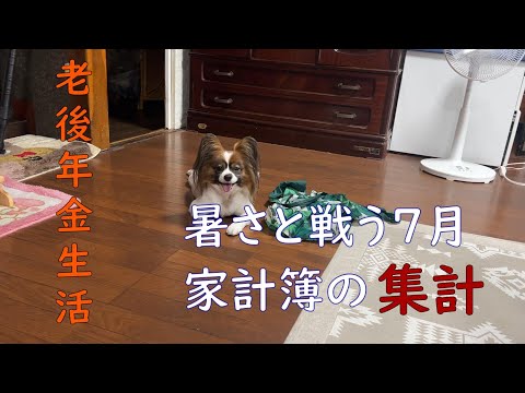 【70代年金生活】７月の家計簿を集計しました。エアコンの28℃設定で付けっ放し？