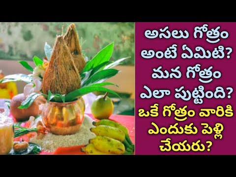 366.పెళ్ళికి గోత్రానికి సంబంధం ఏమిటి? అసలు గోత్రం అంటే ఏమిటి?||History of Gothra #sreeyaskitchen