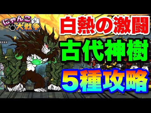 白熱の大激闘！古代神樹５種攻略に挑戦「勝って闇キャッツアイ３個絶対取るぞ！」#にゃんこ大戦争