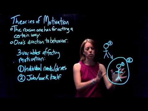 Theories of Motivation | Part 1 of 4: What Motivates Us?