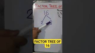 Factor Tree of 16 #factortree