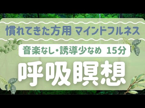 【慣れてきた方用 マインドフルネス瞑想】シンプルだから飽きずに続けられる、呼吸瞑想