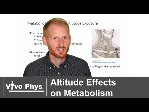 Altitude Effects on Metabolism