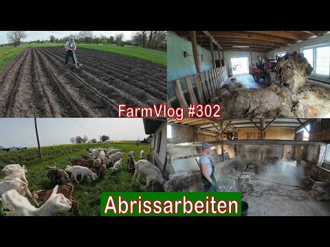 Farmvlog #302: Möhren säen | Ziegen kommen auf die Weide | Abrissarbeiten