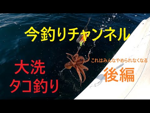 タコ釣り 船釣り 大洗沖in栄光丸【後編】初めてのタコエギ釣り初心者でもタコ釣りは本当に楽しい～これは誰もやめられなくなる～今釣りチャンネルタコ釣りにハマりまくり！！