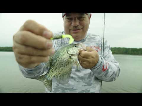 Wally Marshall Introduces All New Colors to the Strike King x Mr. Crappie Slabalicious Lineup!