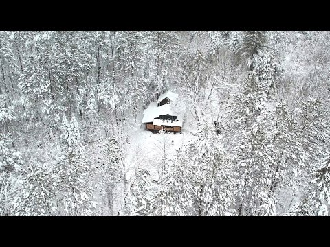 Winter Day At The Cabin ❄️ | Tapping Trees | Maple Syrup Season 🍁🇨🇦