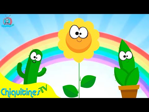 El Juego de las Flores - Canción Infantil