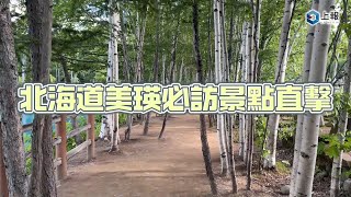 【影片】北海道美瑛必訪景點直擊！夢幻絕景「青池」、四季彩之丘賞五彩花田