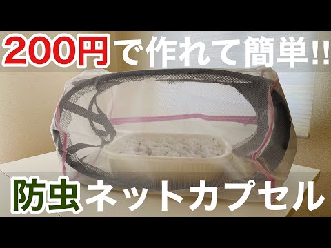 【ダイソー】野菜を虫から守りたい。防虫ネットカプセルを作ってみた