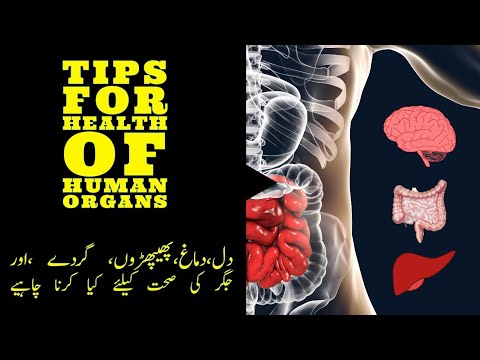 Tips For Health of body Organs#healthtips #healthylifestyle #hearthealth #liverhealth #brainhealth