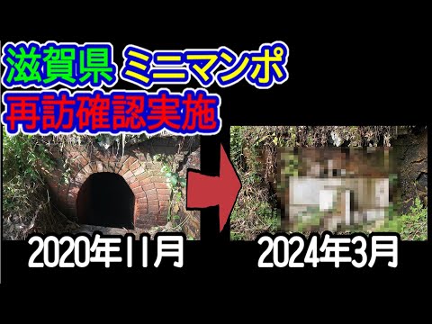 【滋賀県】ミニマンポ再訪確認実施（2024年3月）