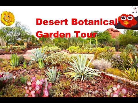 Desert Botanical Garden Tour