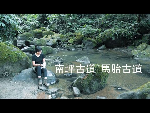 南坪古道。馬胎古道/夏日裡清涼好走的步道