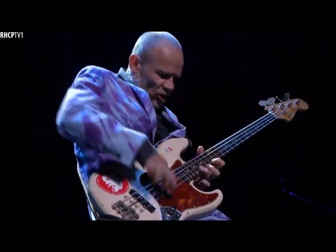 Flea - Insane Bass Solo