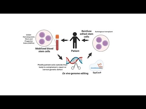 CRISPR gene-editing treatment for sickle cell disease explained