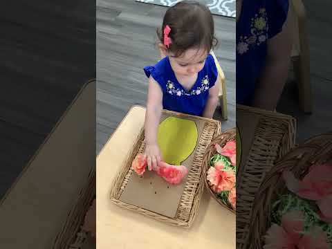 Little hands and flowers   - Montessori Practical Life Activity