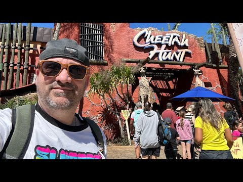 Busch Gardens Tampa POV Cheetah Hunt,Cobra's Curse and Montu