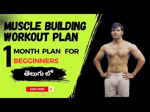 muscle building workout plans|| muscle building in one month || telugu fitness channel