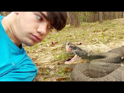 Catching 98 Snakes!