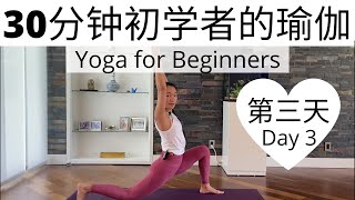 【30分钟初学者的瑜伽课程 Day 3 】零基础瑜伽入门系列课程 | Yoga for Beginners Series #3