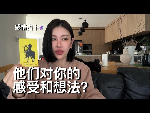 🔮他们对你的感受和想法？【无限时感情占卜】