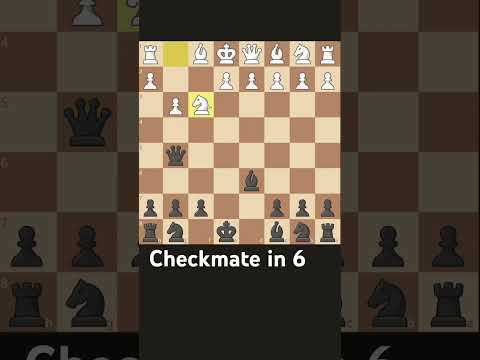 Quick checkmate in 6 for beginners (Bird Opening)