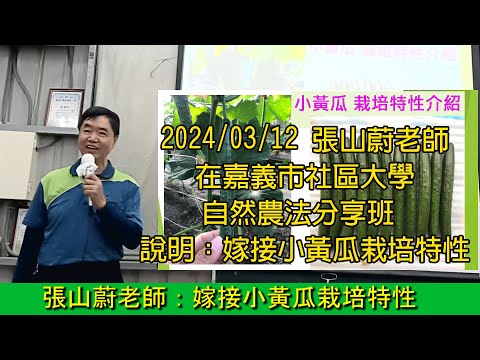 2024/03/12張山蔚老師在嘉義市社區大學自然農法分享班 說明：嫁接小黃瓜栽培特性