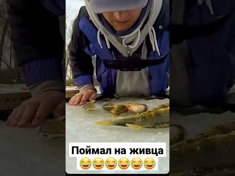 Поймал на живца😂