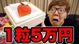 １粒５万円のイチゴを３粒食べて歩く15万円に