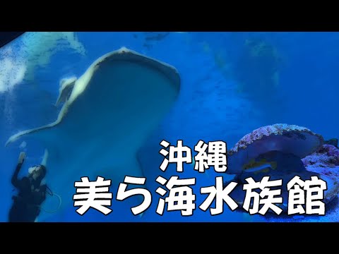 【沖縄】美ら海水族館～ジンベイザメ ブラックマンタ～