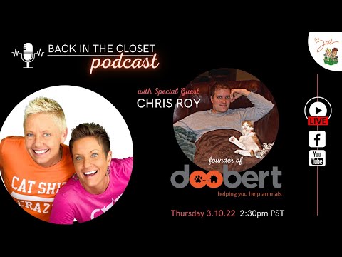 Rescuing Animal Rescuers with Chris Roy | Back In The Closet | Two Crazy Cat Ladies