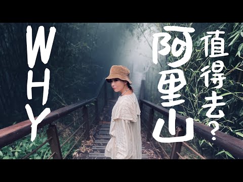 阿里山攻略｜在地人推薦咖啡廳不是阿將的家？英迪格之外的絕美民宿？還能房內看日出｜老辣妹娛樂