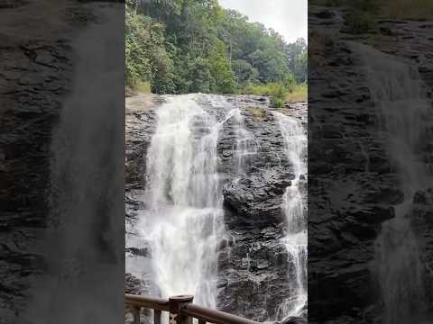 Mesmerising sight of Abbey Falls cascading down the cliff in Coorg, Karnataka!