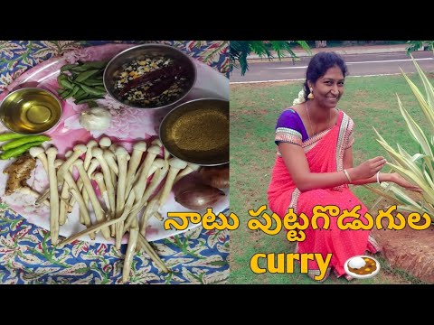 Natural Mushroom curry | Village style Mushroom curry