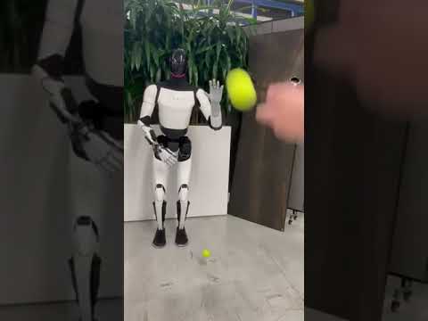 Tesla BOT Catches Tennis Balls...