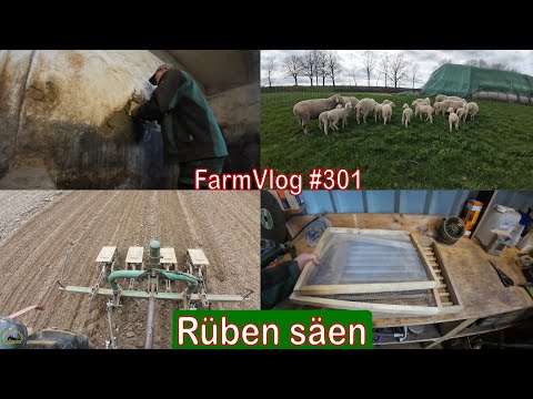 Farmvlog #301: Rüben säen und verputzen