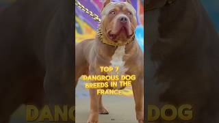 Top 7 Dangerous Dog Breeds in The France #dogfacts #dog #dogbreed  #dangrousdog