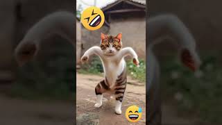 kucing dance #kaget #jenaka #funny