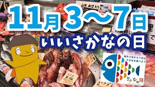 【ダイエー】 Vtuberモッくんおすすめ！いいさかなの日