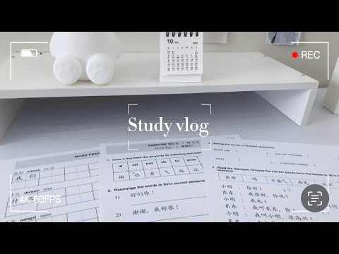 Study Chinese with me 🇨🇳 | learning a new language tips | a chill study vlog 🍃|  productive vlog