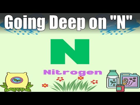 Talking Nitrogen with a Soil Scientist