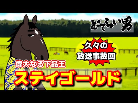 【ステイゴールド】スピンオフ企画第2弾！偉大なお父ちゃん紹介【ブービーとフェーヴルのどてらい男 第2回】