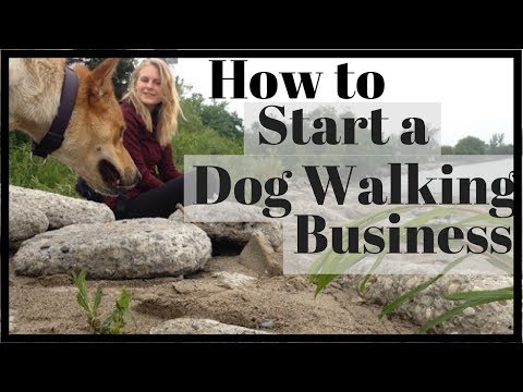 How to Start a SUCCESSFUL Dog Walking Business