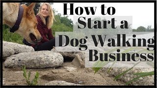 How to Start a SUCCESSFUL Dog Walking Business