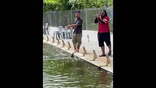 Siakap Ultralight Fishing Pond Fishing