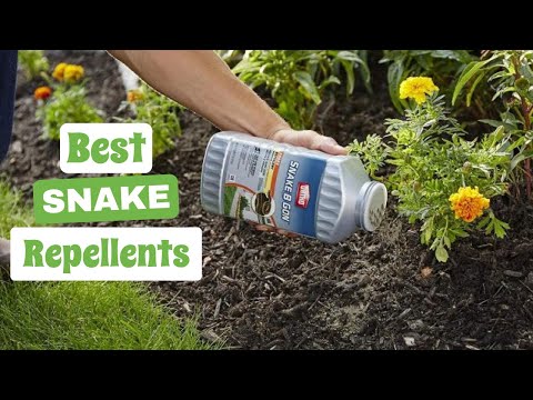 Best Snake Repellents: Keeping Your Property Snake-Free and Safe | The Guardians Choice