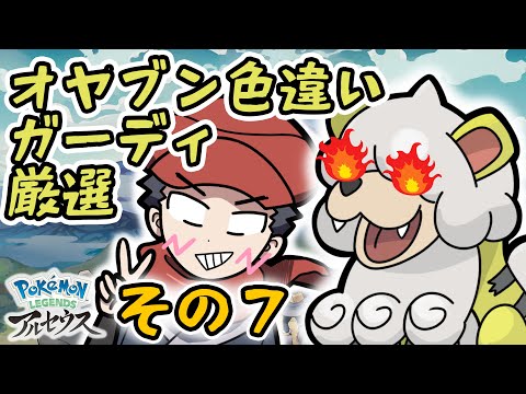 オヤブン色違いガーディ厳選ガチでやる配信その７【Pokémon LEGENDS アルセウス】