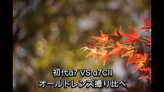 Sony α7初代 VS α7CⅡ 銘玉オールドレンズ撮り比べ 写りの違い比較 Meyer-Optik Primoplan 58mm f1.9とOreston 50mm f1.8 M42